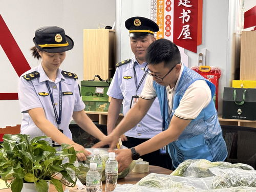 廣西龍勝“你點(diǎn)我檢” 科技賦能校園餐飲管理，守護(hù)學(xué)生舌尖安全